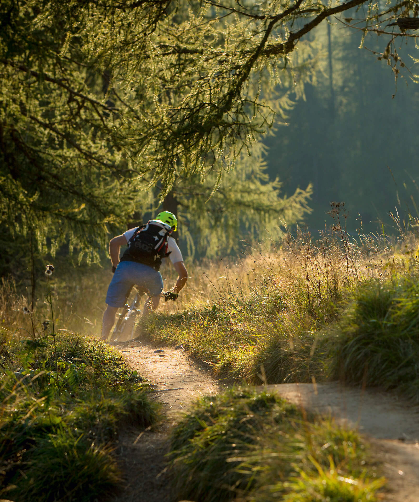 A cyclist with a neon-green helmet descending a forest and meadow path in South Tyrol - Laurin's