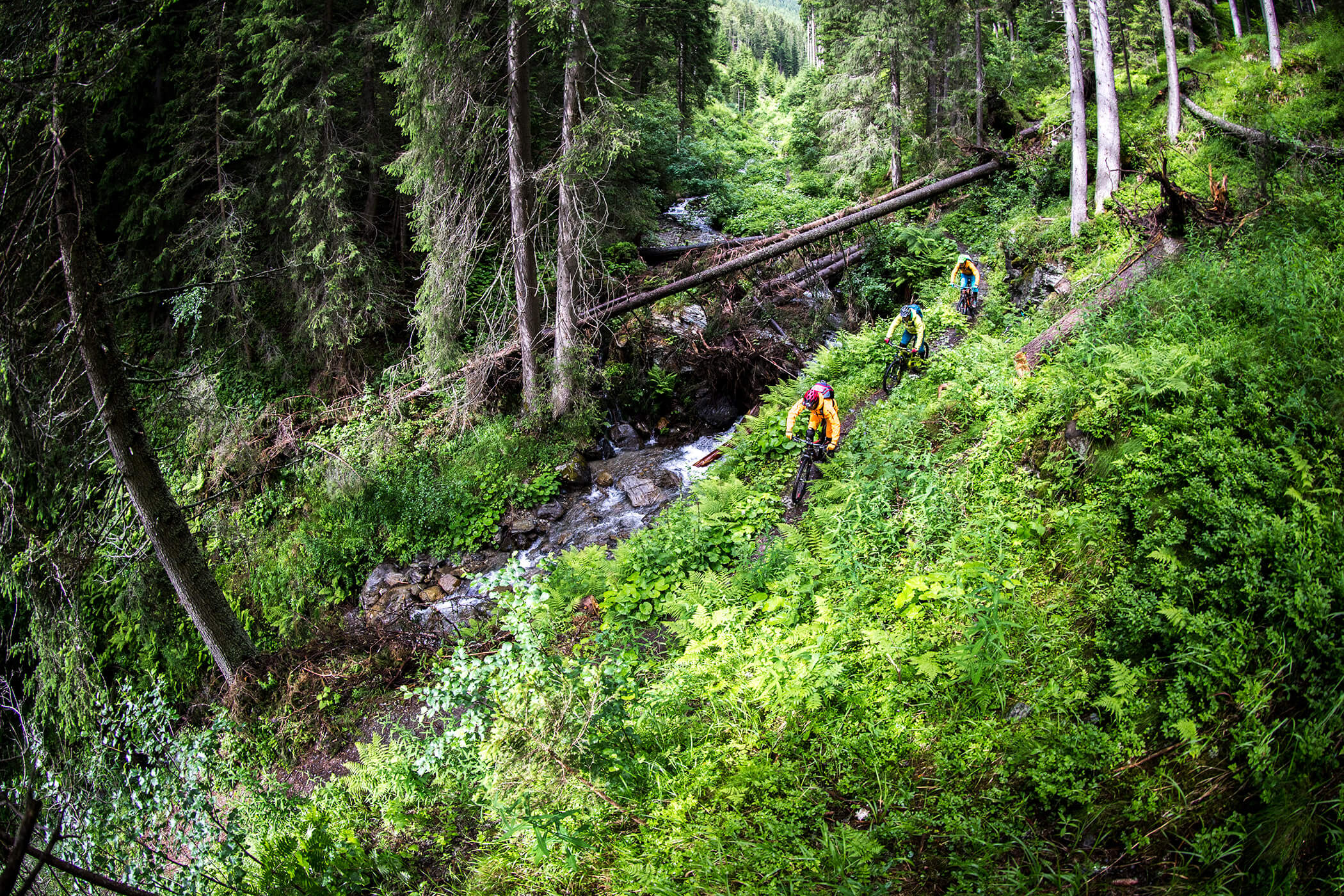 Three mountain bikers ride down a path in the middle of the forest, next to it a small stream runs down the forest slope - Laurin's