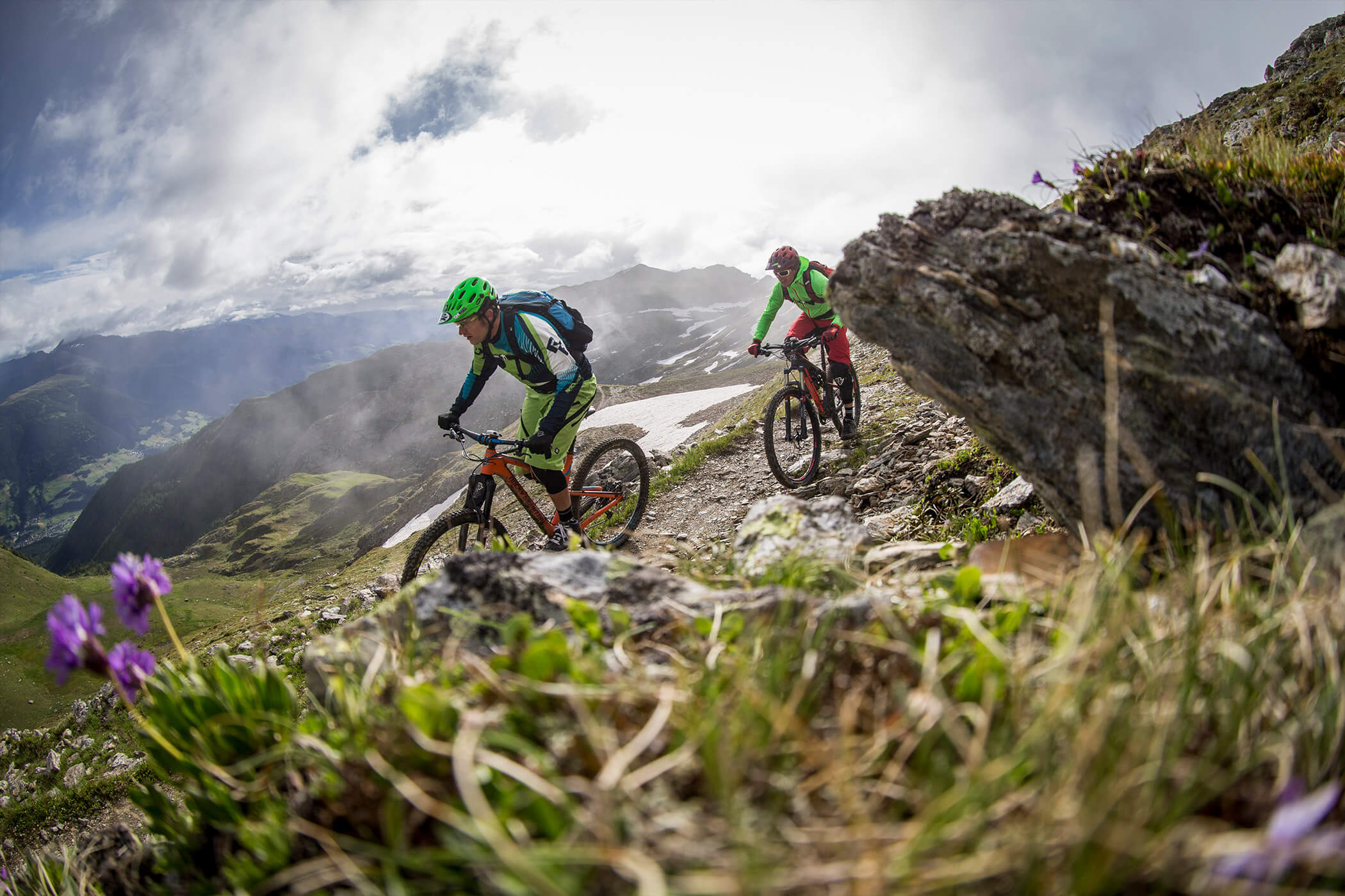 Two mountain bikers descend a path in the Dolomites, a mountain meadow with purple flowers in the foreground - Laurin's