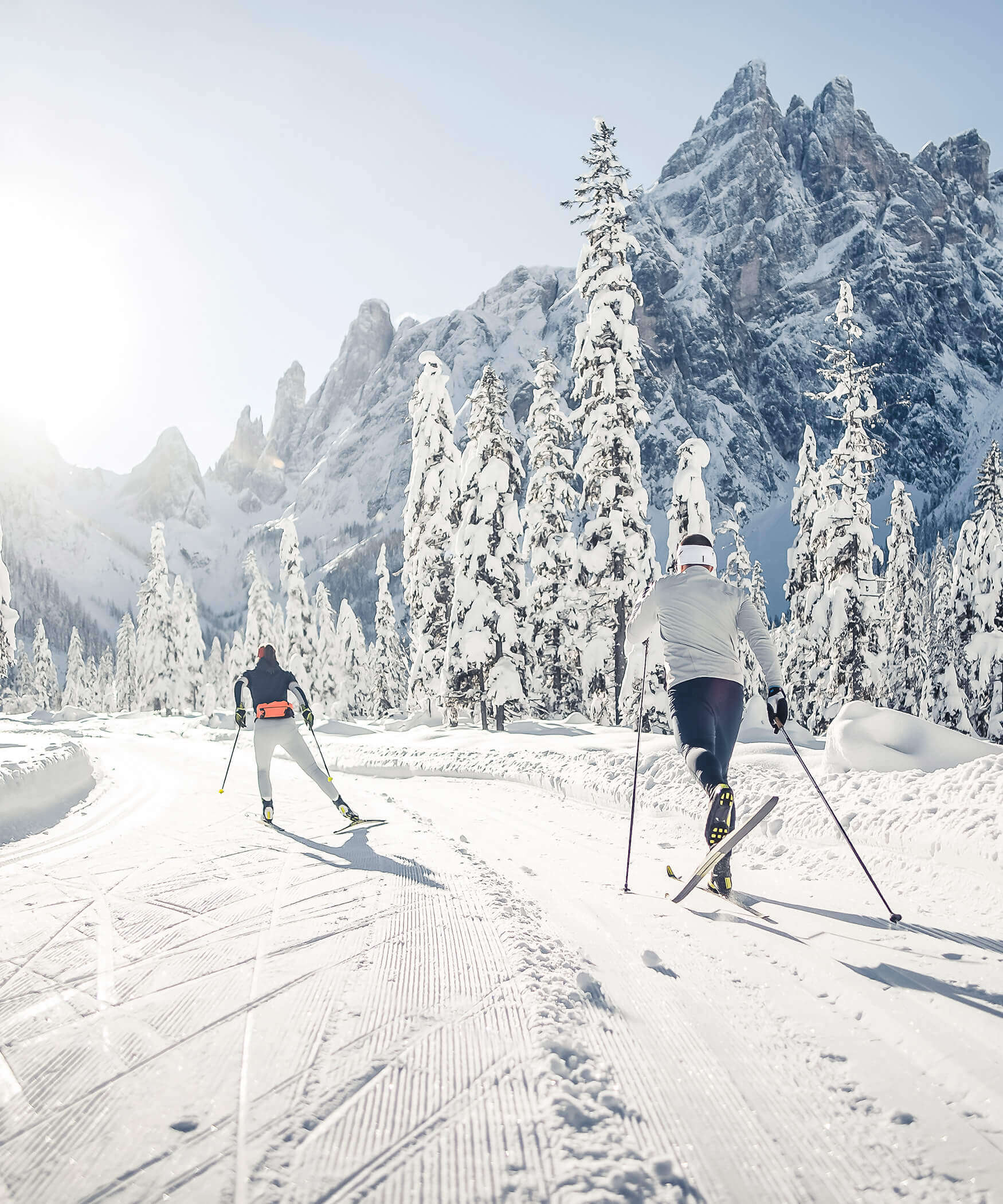 Zwei Langläufer -einer skated der andere läuft klassisch - auf der Langlaufloipe in Toblach im Hochpustertal - Laurin's